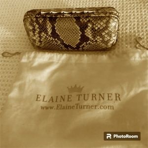 Elaine Turner Snakeskin Clutch.